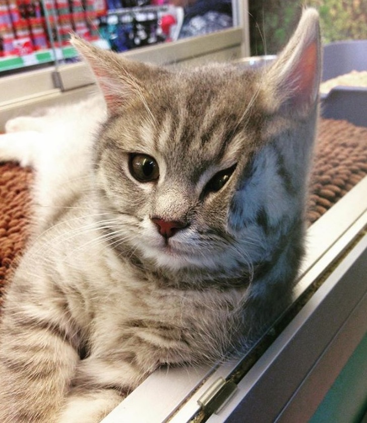 15 фотографий, которые поднимут настроение даже в самый дождливый день