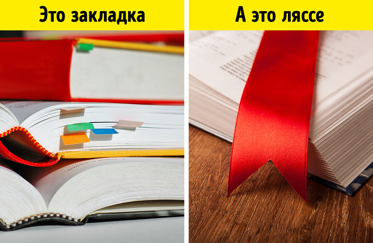 17&nbsp;предметов, которые называются совсем не&nbsp;так, как мы&nbsp;думали