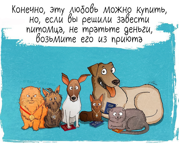 10+&nbsp;вещей, которые мы&nbsp;поняли, когда взяли собаку из&nbsp;приюта
