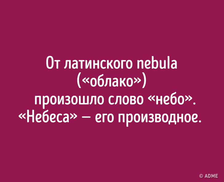 Даже если вы&nbsp;отлично знаете русский язык, происхождение этих слов вас удивит