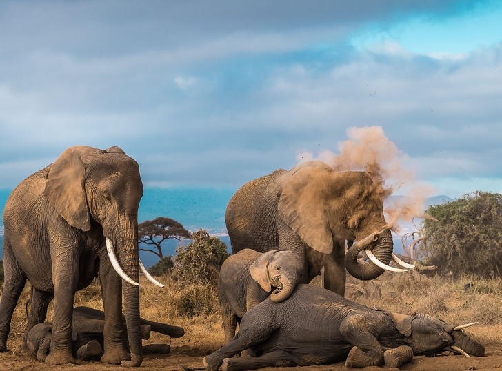 National Geographic выбрал лучшие фото 2018&nbsp;года. Глядя на&nbsp;них, жалеешь, что фотограф&nbsp;&mdash; не&nbsp;ты