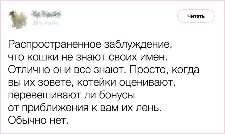 20+&nbsp;фактов о&nbsp;психологии и&nbsp;характере кошек, которыми поделился заводчик со&nbsp;стажем