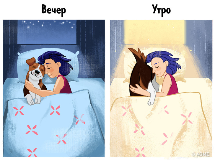14&nbsp;комиксов, которые расскажут, почему владельцы собак живут дольше и&nbsp;счастливее остальных людей