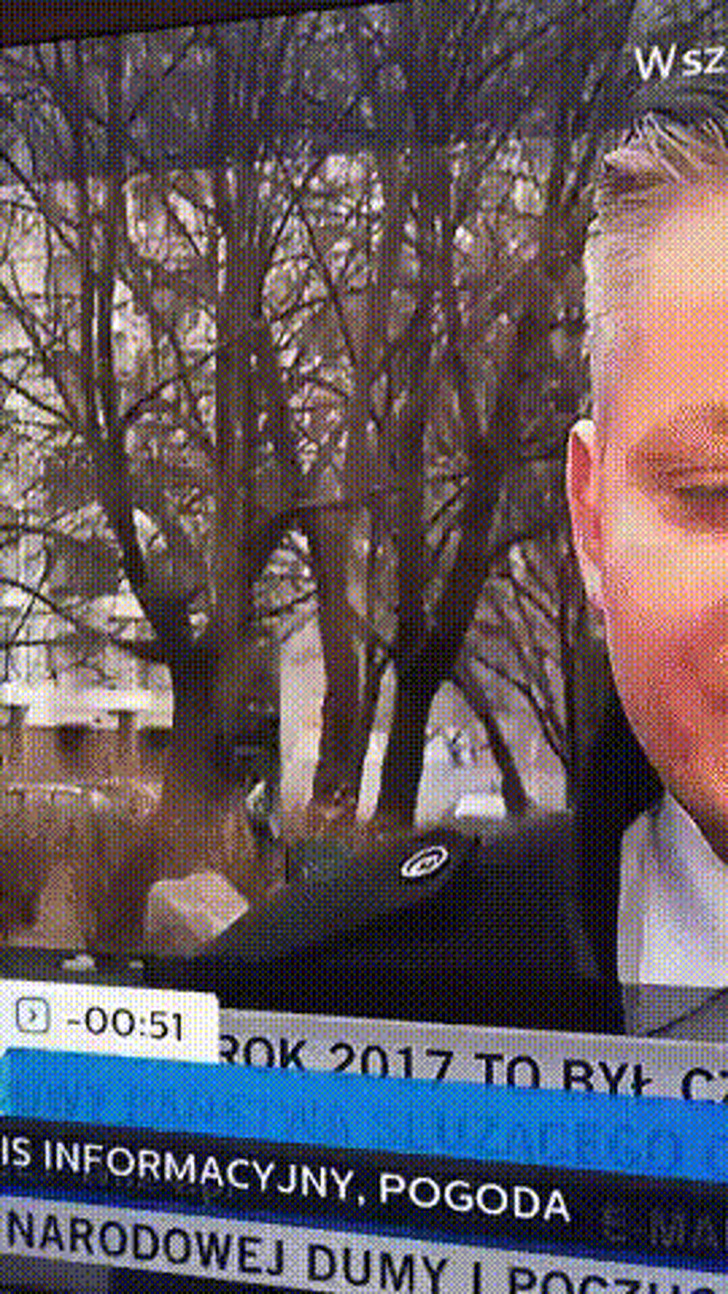 20+&nbsp;фото, после которых вы&nbsp;поймете, какое у&nbsp;судьбы искрометное чувство юмора