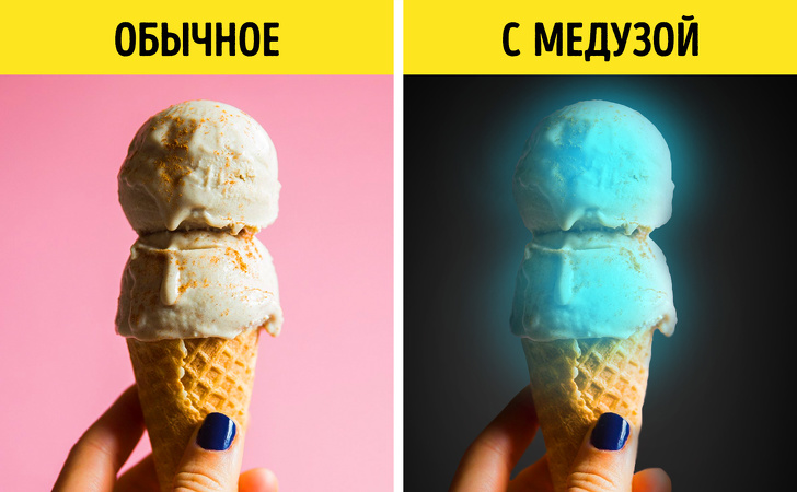 Мы собрали странные блюда будущего, которые уже практически стали реальностью