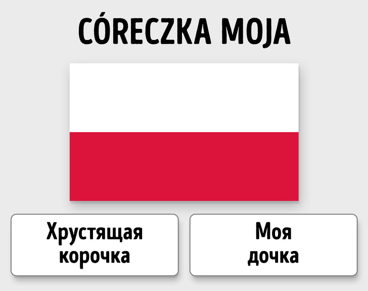 Тест на&nbsp;знание славянских языков, который вы&nbsp;не&nbsp;пройдете без улыбки