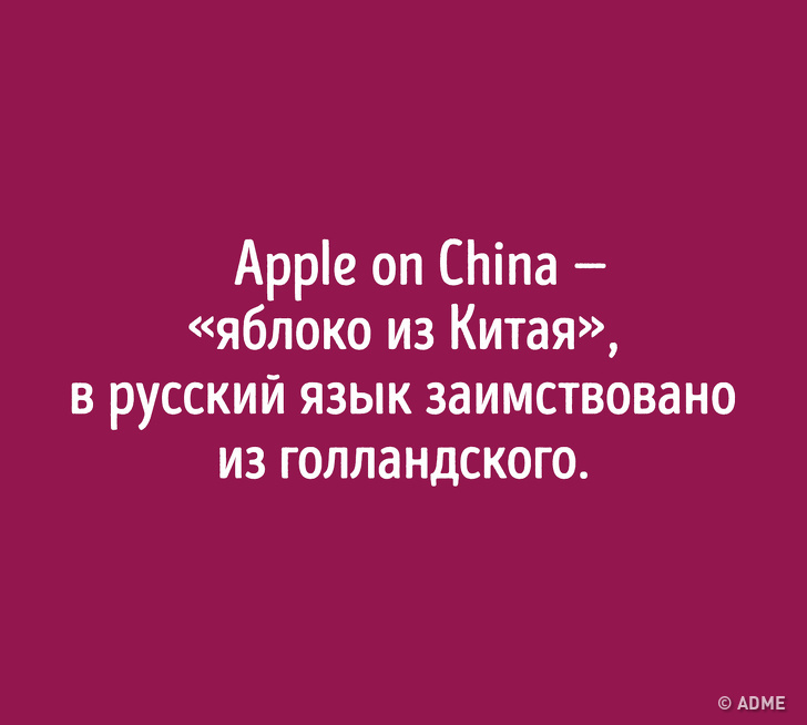 Даже если вы&nbsp;отлично знаете русский язык, происхождение этих слов вас удивит
