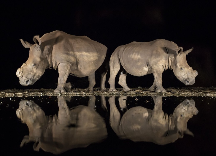 National Geographic выбрал лучшие фото 2018&nbsp;года. Глядя на&nbsp;них, жалеешь, что фотограф&nbsp;&mdash; не&nbsp;ты