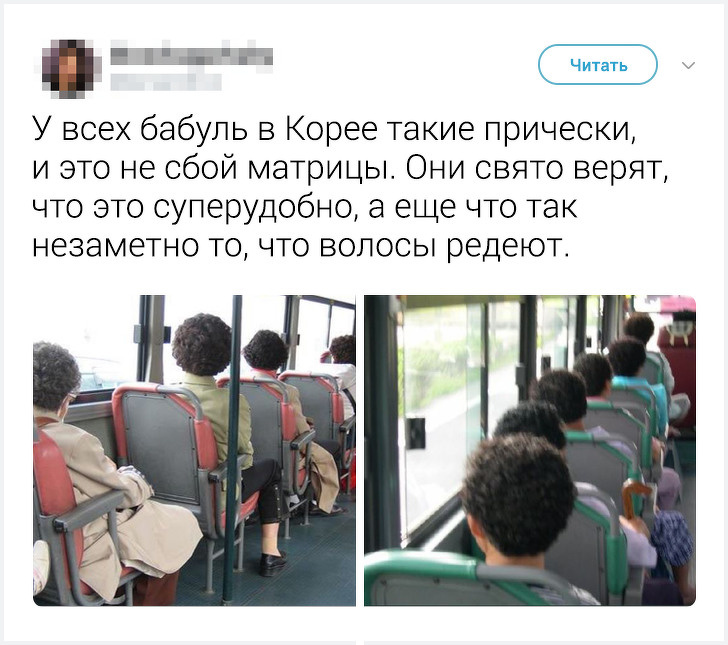 Местные жители рассказали неожиданные факты о&nbsp;жизни в&nbsp;своих странах. Истории о&nbsp;Корее удивляют больше всего